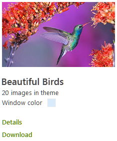 Beautiful Birds Windows 8 Theme